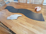 Wave Runner Placemat Set